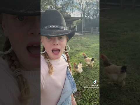 @LaineyWilson #countingchickens #laineywilson #country #countrygirl #fyp #shorts #sing #chickens