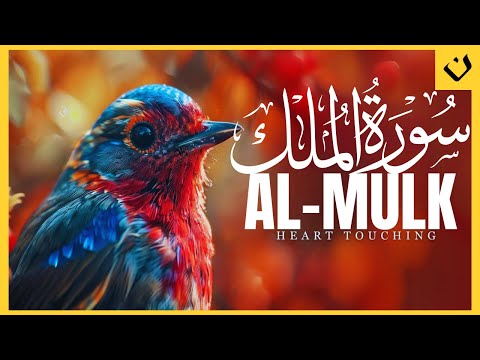 سورة الملك 🌙 تلاوة مريحة تمنحك السلام الداخلي | Surah Al-Mulk 🌙A Relaxing Recitation for Inner Peace