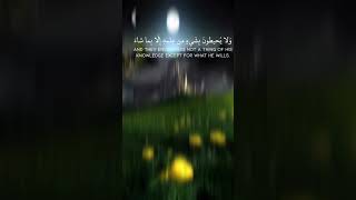 #ayatulkursi #ayatul_kursi #ayatulkursibeautifulrecitation #ayatulkursifull #ayatulkursirecitation