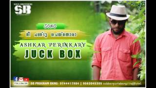 Nee Pandu Cheythoraa | Ashkar Perinkary Hit Song ANUBHAVAM