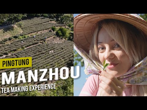 Taiwan's Most Famous Tea From the South |📍𝑷𝒊𝒏𝒈𝒕𝒖𝒏𝒈 | Come Away with Me