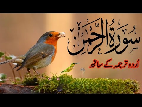 Surah Rahman |  tilawatalquran |Beautiful Recitation |