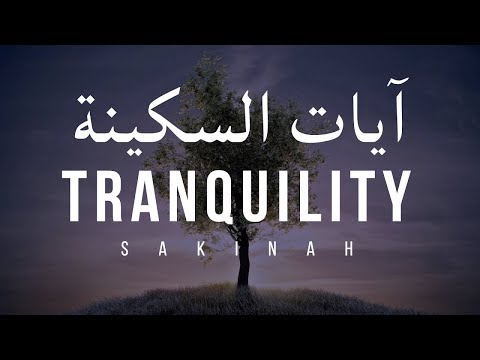 AYAT OF TRANQUILITY   SAKINAH  أيات السكينة لدفع الهموم