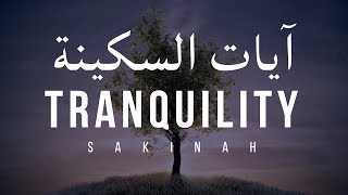 AYAT OF TRANQUILITY   SAKINAH  أيات السكينة لدفع الهموم