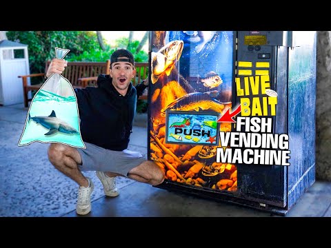 BUYING ALL THE FISH From The LIVE FISH VENDING MACHINE...