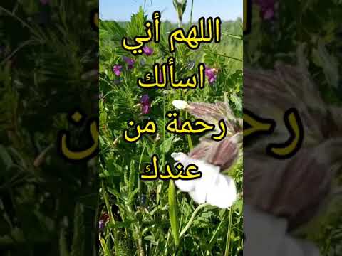 الدعاء الجامع .لكل امر لأمر الدنيا والأخرة