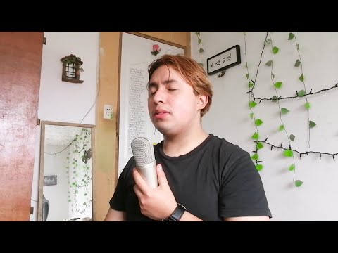 The Weeknd - Less Than Zero (cover)