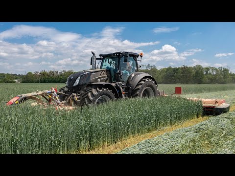 NEW HOLLAND T7.290 HD AC | SIP SILVERCUT Disc 340 F FC and SIP SILVERCUT Disc 900 C FC | Mowing rye