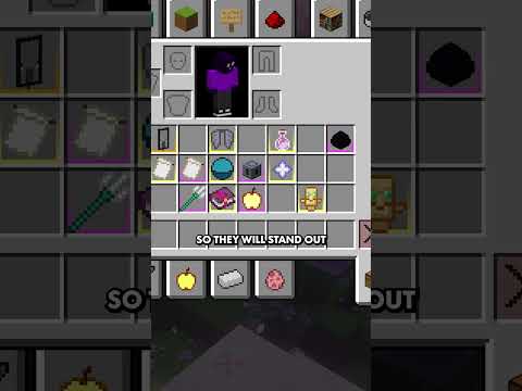 Mini Mod Showcase | Item Borders - Minecraft Mod #minecraft #minecraftmods #minecraftshorts