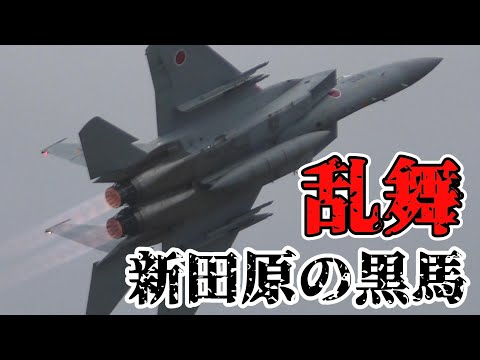 新田原基地の黒馬が暴れていた頃の F-15DJ EAGLE 最大性能機動飛行 / JASDF F-15 maneuver flight