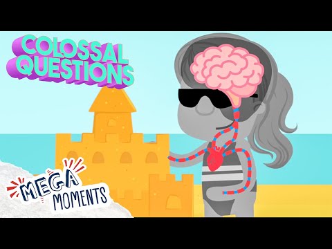 10 Weird Things Your Body Does! 🧠 | Colossal Questions | Science for Kids 🧬