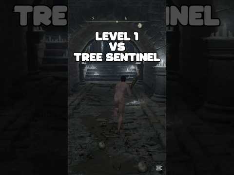 Level 1 VS Tree Sentinel...  #eldenring #eldenringallbosses #eldenringclips