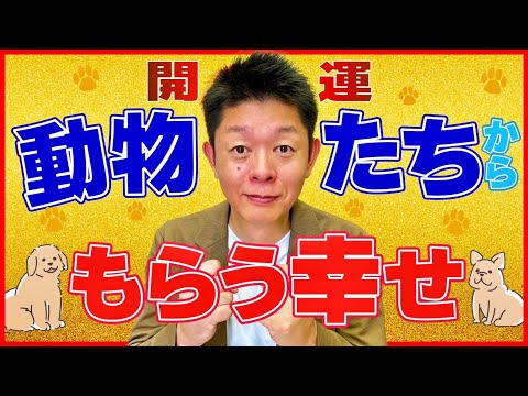 開運【動物たちからもらう幸せ】『島田秀平のお開運巡り』