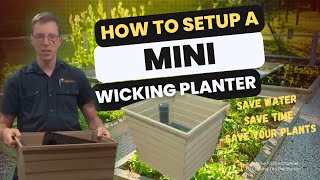 Easiest way to set up a wicking planter! Save time, money and your plants!