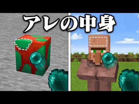 アレの中身が見れるマインクラフト【まいくら・マインクラフト】