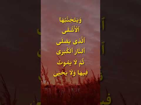 Heart Touching & Beautiful Recitation Quran for Treatment & Cures Vertigo - Healthy All Ear Problems