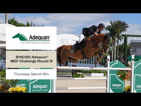 Watch round 9 of the $116,100 Adequan® CSI5* WEF Challenge Cup