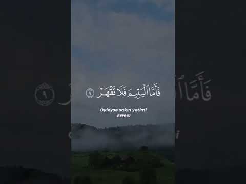 رعد الكردي  🎧 ﴿وَأَمَّا بِنِعْمَةِ رَبِّكَ فَحَدِّثْ﴾