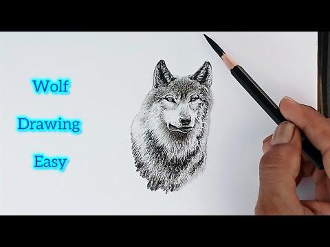 How to draw a wolf face by pencil easy/ live drawing/