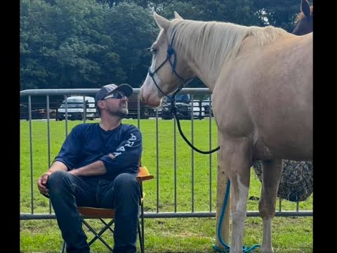 Starting young horses doesn’t always go to plan!!