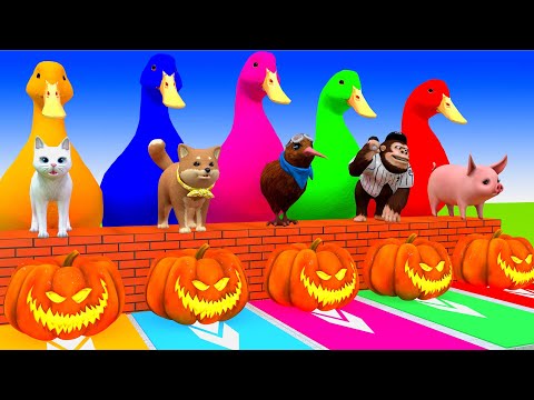 5 Giant Duck, Monkey, Piglet, chicken, dog, mammoth,tiger, Sheep, Transfiguration funny animal 2023