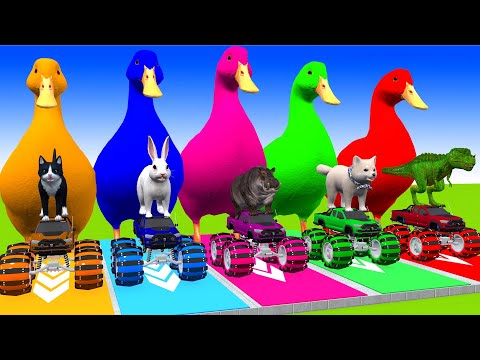 5 Giant Duck Cartoon, Cow, Mammoth, Elephant, Lion, Paint Wild Animals Crossing Fountain Animation