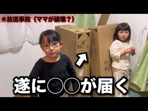 【小学校入学準備】で購入した◯◯が届いたがママが壊してしまう？長女が発狂？川崎三姉妹物語