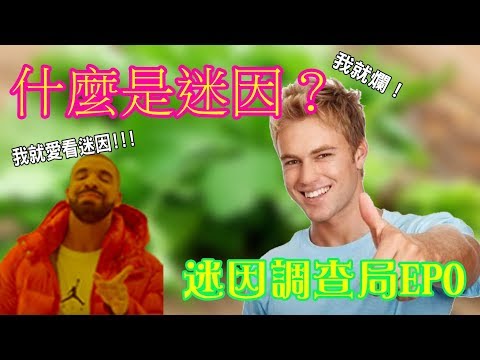 我就爛！帶你看什麼是迷因｜迷因調查局EP0