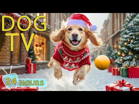 DOG TV CHRISTMAS: Best Christmas Videos for Dogs - Peaceful Videos & Gentle Music to Keep Dogs Relax