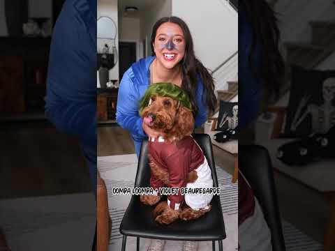 What are you and your dog dressing up as today? #music #halloween2024 #goldendoodlepuppy