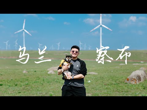 【VLOG】端午假期 | 带狗狗去内蒙古自驾游 | 乌兰察布 | 呼和浩特