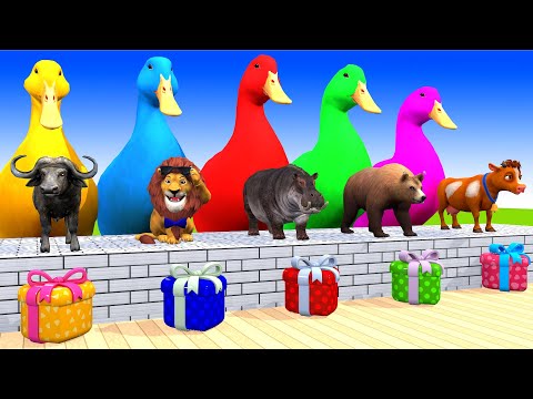 5 Giant Duck Cartoon,Cow,Mammoth,Tiger,Lion,Dinosaur,Paint Wild Animals Crossing Fountain Animation