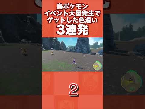 鳥ポケモンイベント大量発生でゲットした色違い3連発www【ポケモンSV/藍の円盤/ゼロの秘宝】