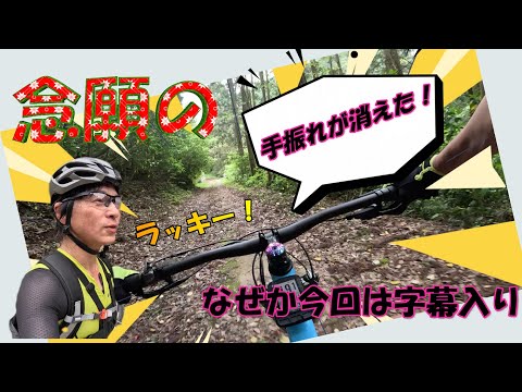 【MTB】いつもの林道を下ってみる【TREK MARLIN】