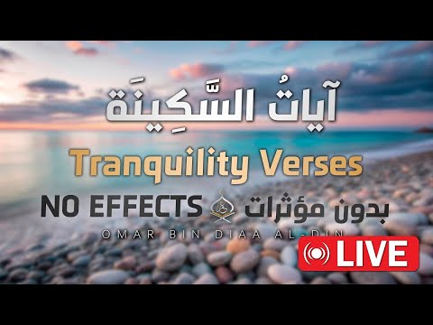 آيات السكينة لدفع القلق والهموم بصوت القارئ عمر بن ضياء الدين🤍✨ | AYAT OF TRANQUILITY  SAKINAH