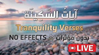 آيات السكينة لدفع القلق والهموم بصوت القارئ عمر بن ضياء الدين🤍✨ | AYAT OF TRANQUILITY  SAKINAH