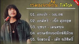 รวมเพลงดังในTikTok(เงาะป่า+เขามัทรี+บุษบา+ความรักของยักษ์สีเขีวย,จังหวะนี้)#รวมเพลงดังในtiktok