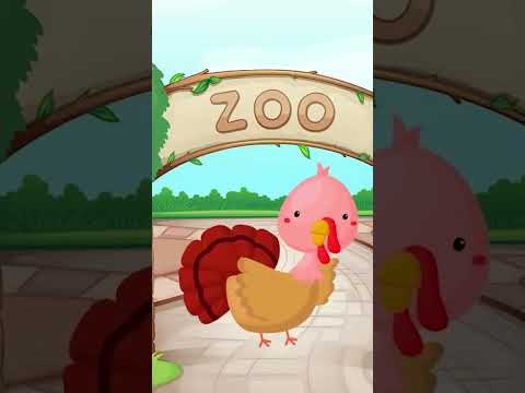 Let's go to the Zoo! | Animal Sound Songs for Kids #shorts