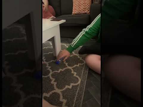 Siblings try the Bottle Flip