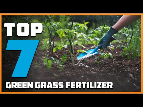 7 Best Fertilizer for Green Grass: Achieve a Lush Lawn