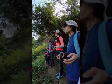 Xiaojianshan passes through many steep and dangerous cliffs田中大小劍山O型縱走#taiwan #hiking #無名山#內樹尾山#東峰登山隊