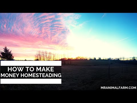 How To Make Money Homesteading