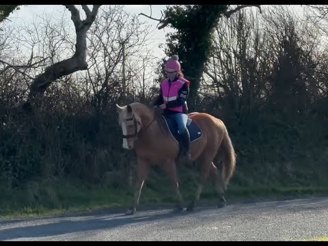 Charlotte's best ever first ride on a horse !