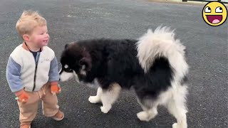 🤣 "Baby Laughs & Silly Dogs🐶 – The Cutest Thing You'll See!"💞