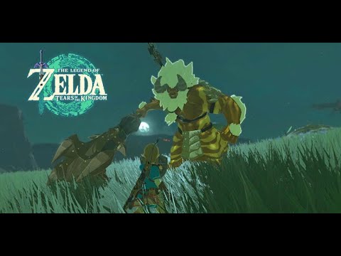 How fast can a Zelda NOOB (me) defeat every Lynel?