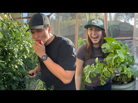 Garden Harvest Haul!