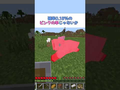 【マイクラ】ピンクの羊を見つけた時の初心者と上級者の違い