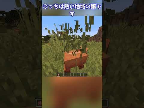 【最新情報】マイクラの次のアップデート内容がすごい！  #マインクラフト #マイクラ #ゆっくり #minecraft #ゆっくり解説 #ゆっくり実況