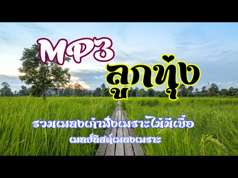 ลูกทุ่ง MP3 ฟังเพราะฟังสบายไม่มีเบื่อ