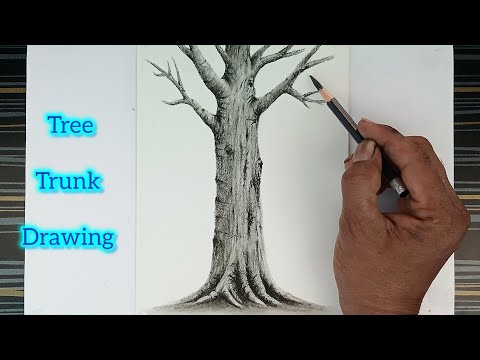 How to draw a tree trunk by pencil with easy ways.